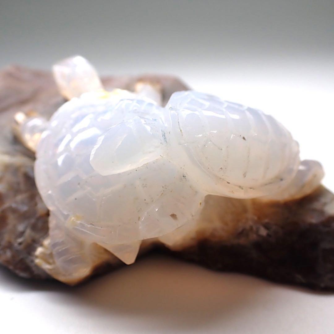 【オーストラリア産】オパールカービング(親子亀モチーフ)