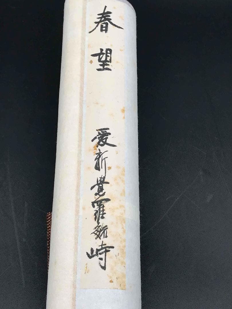 中国画　伝来　＜愛新覚羅毓峙＞　真作肉筆　古典山水画　杜甫　漢詩　春望(S-2)