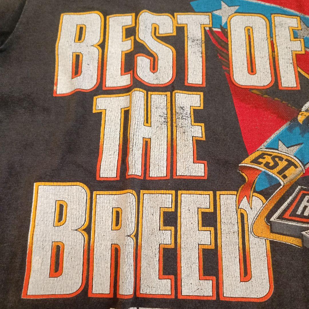 90s ビンテージ ハーレーダビッドソン Tシャツ
