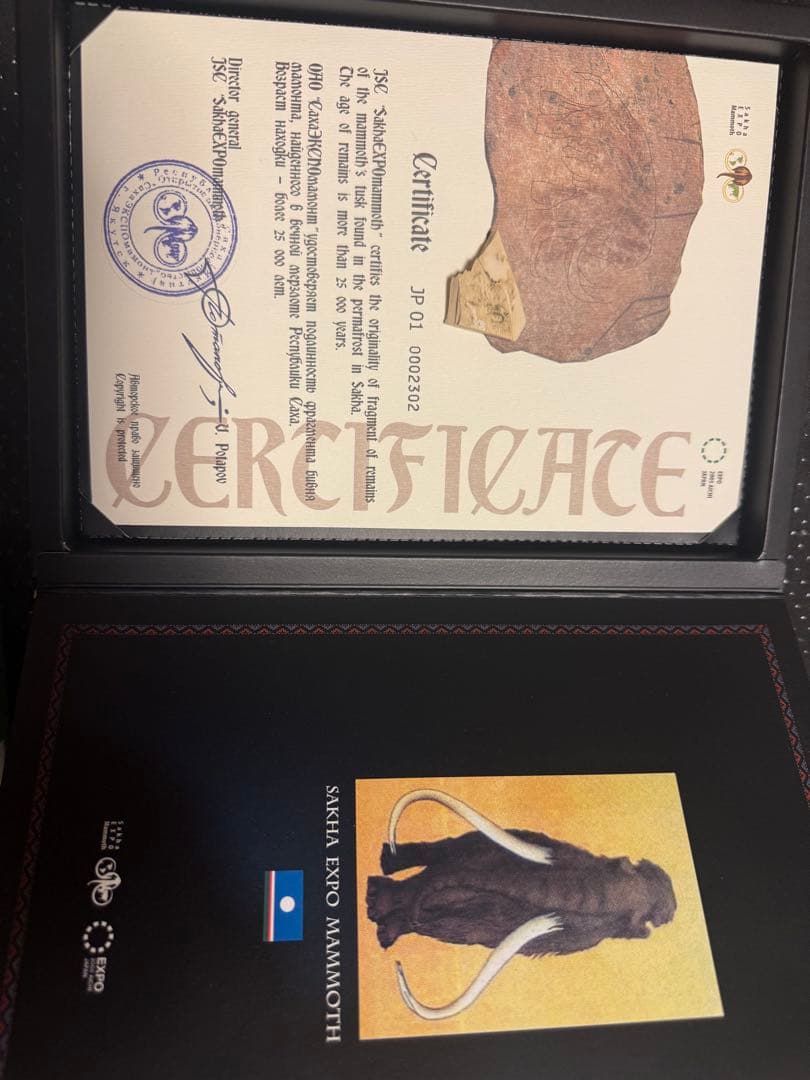 マンモスの骨 永久凍土から 愛・地球博　2005年　愛知万博（サハ共和国）