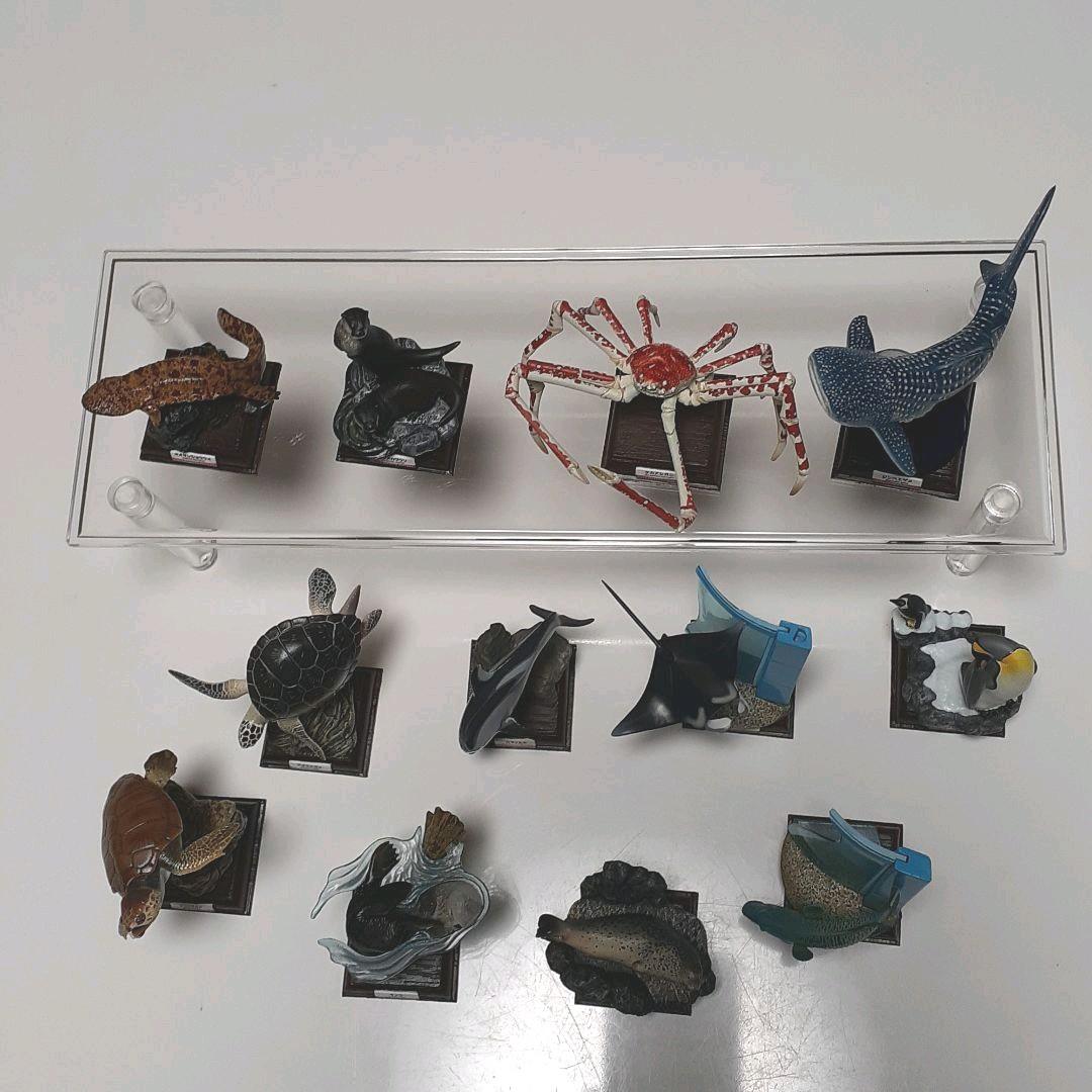 フィギュア　海遊館ミュージアム(全12種)コンプリート
