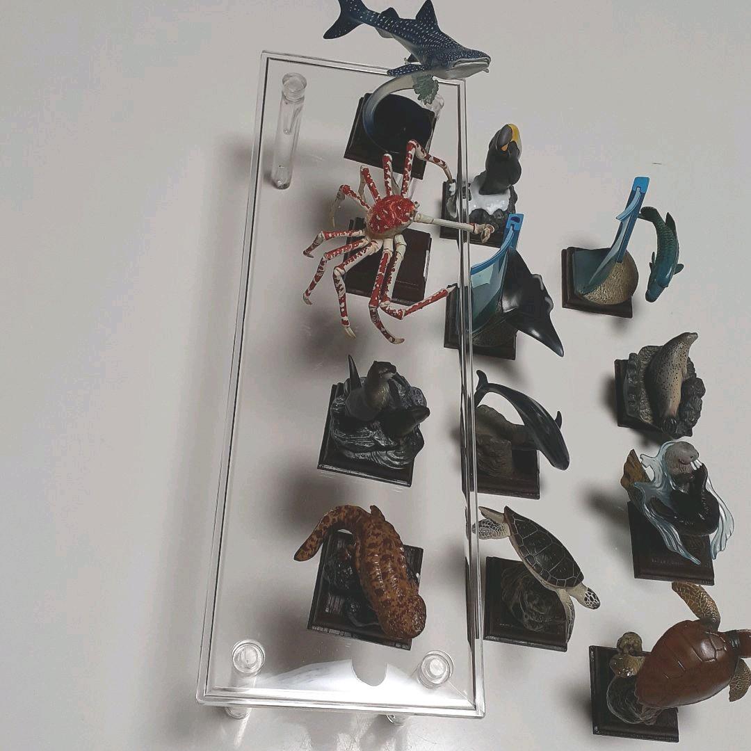 フィギュア　海遊館ミュージアム(全12種)コンプリート