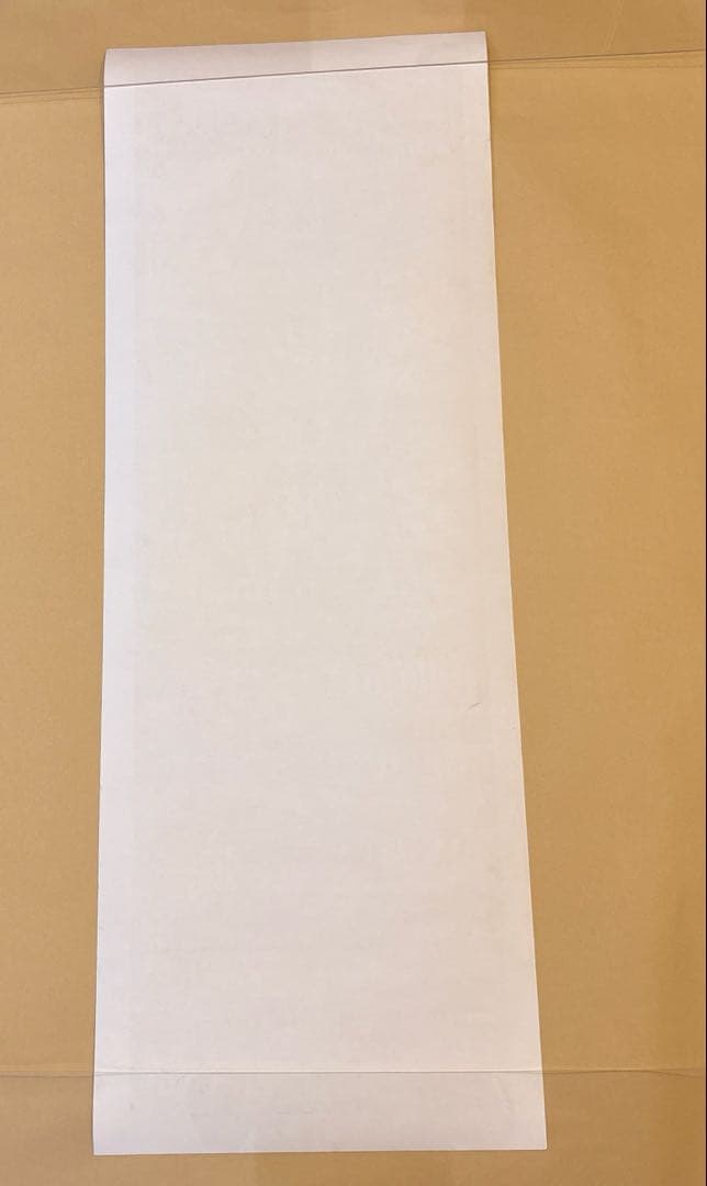 TAZ NOFX シルクスクリーンポスター　AKIRA