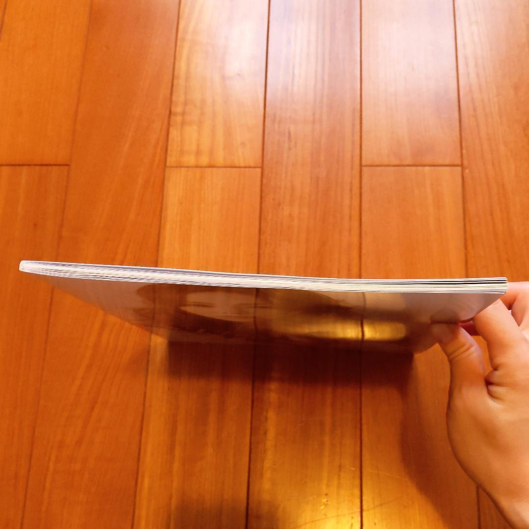 【レア】安室奈美恵「The FACE」+パス