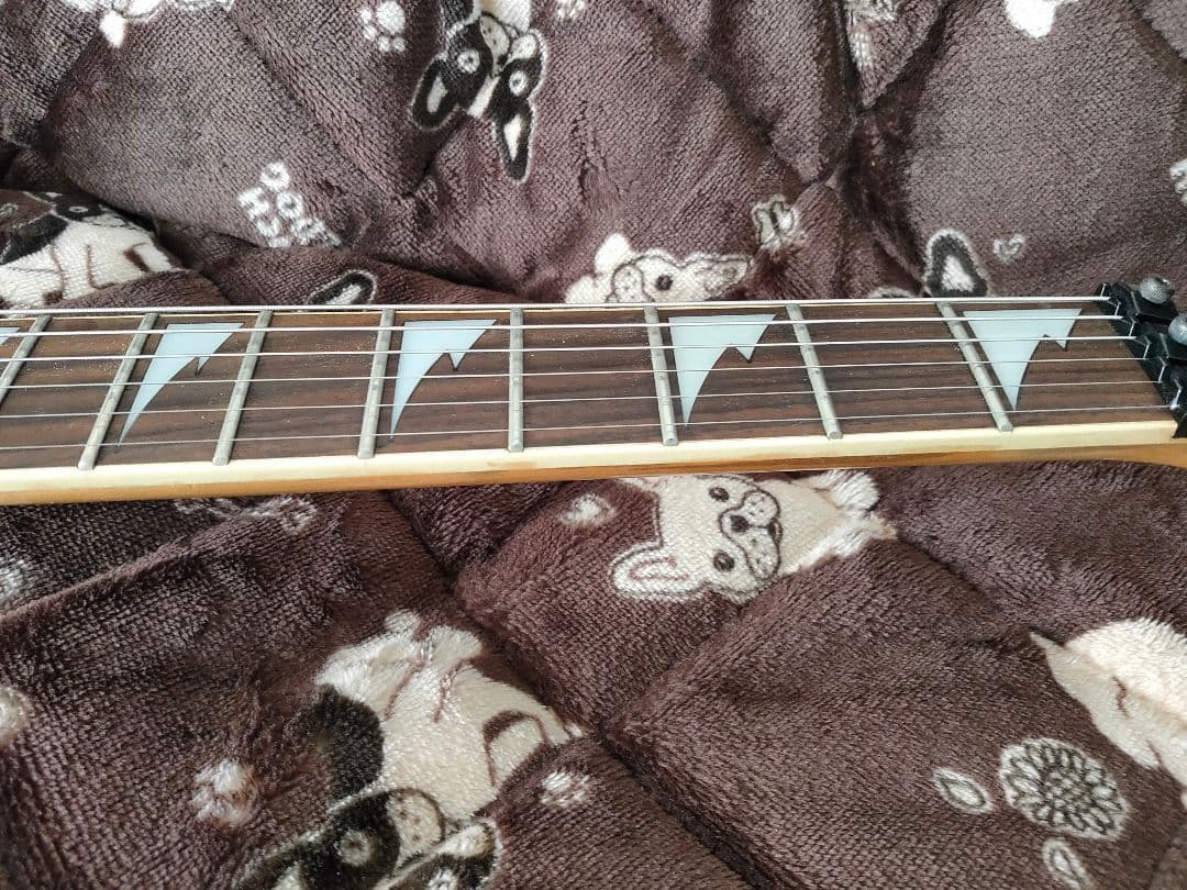 Ibanez RG370DX エレキギター アイバニーズ 背面カバー無 シールド