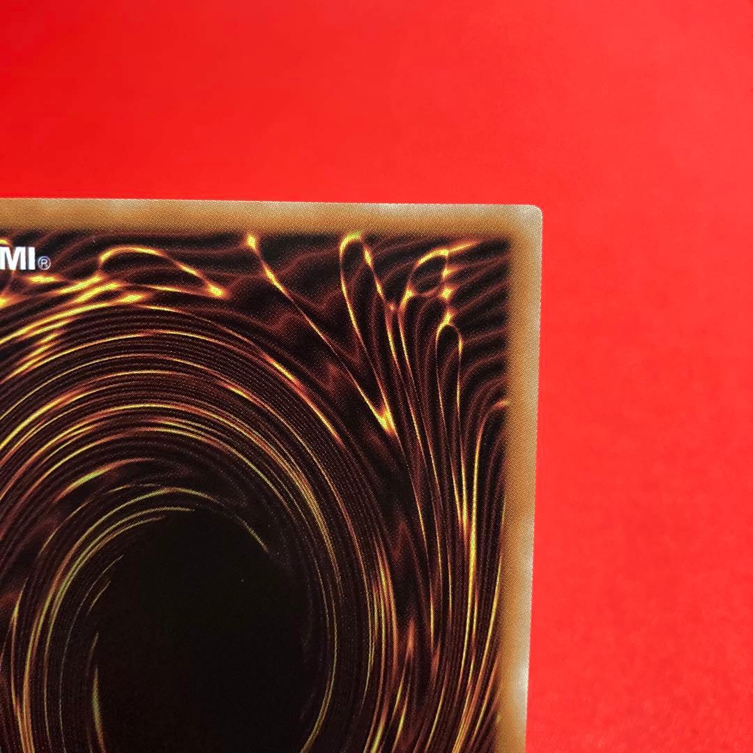 遊戯王　白き森のリゼット クォーターセンチュリーシークレットレア