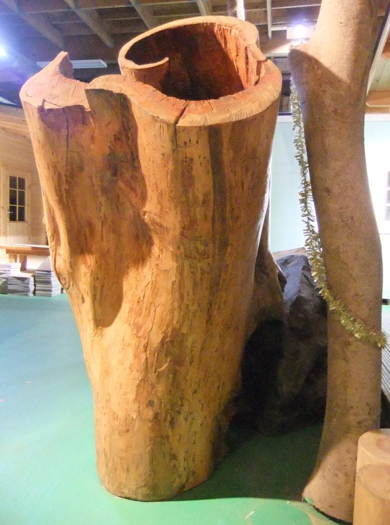 【稀少レア１点物】巨木★巨大樹木★自然派ナチュラル系、生け花【展示品★送料別】