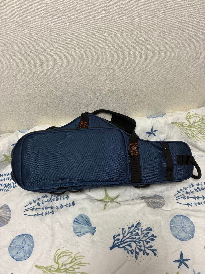 プロテック アルト用ケース PB304CTBX. バックパックストラップ付き