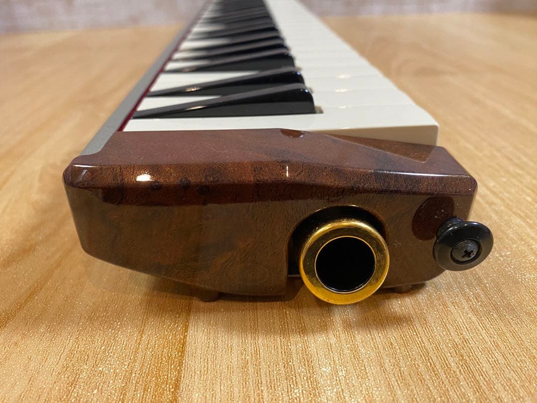 HAMMOND ハモンド PRO-44H 鍵盤ハーモニカ (ケース付き)