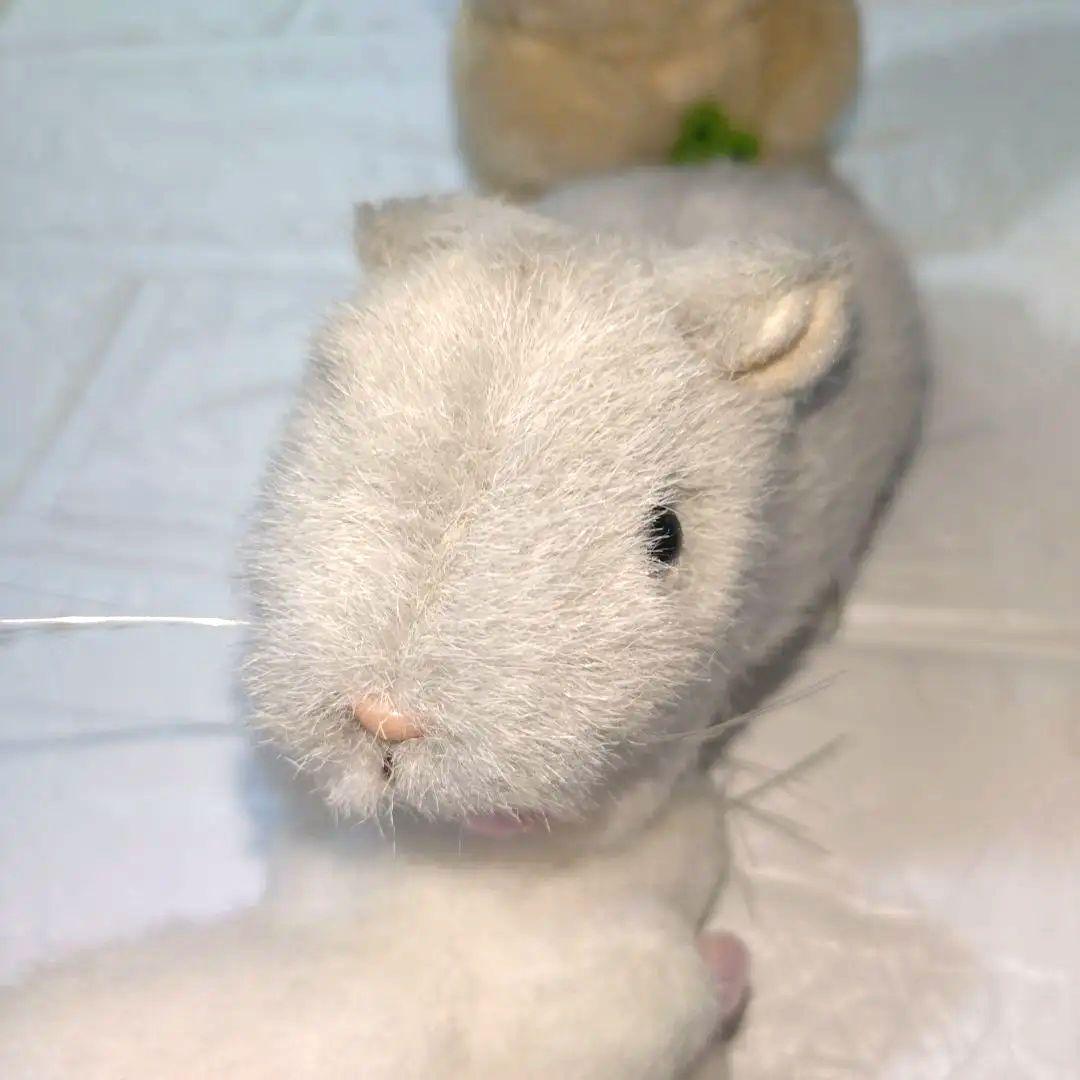 り*ほ様 ミニペットクラブ わたしのハムスター　ハムスター　オコジョ　平成レトロ