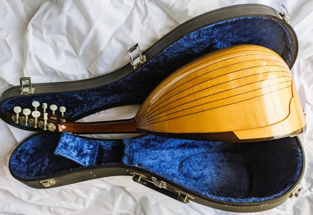 ✨SUZUKI M-30 木製 8弦マンドリン 本体 ＋ 専用ハードケース付き✨