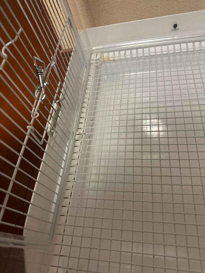 クリアバード40 2個