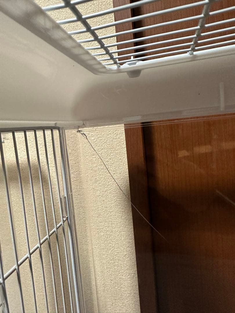 クリアバード40 2個