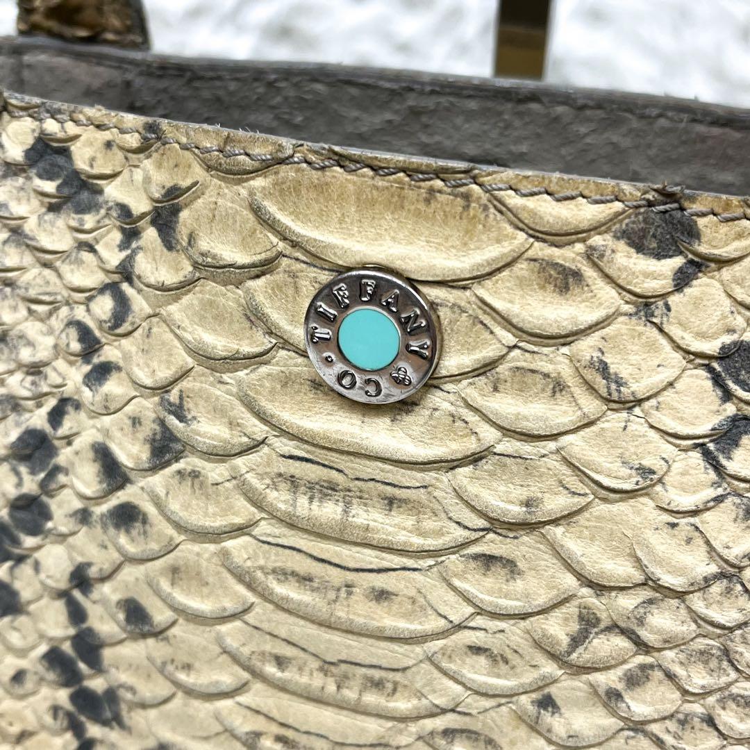 超希少 ティファニー ハンドバッグ リアルパイソンレザー ロゴ金具