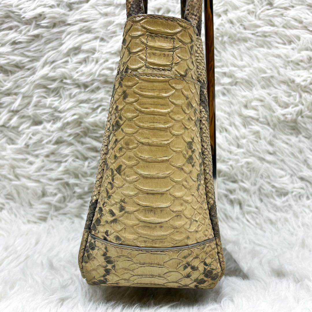 超希少 ティファニー ハンドバッグ リアルパイソンレザー ロゴ金具