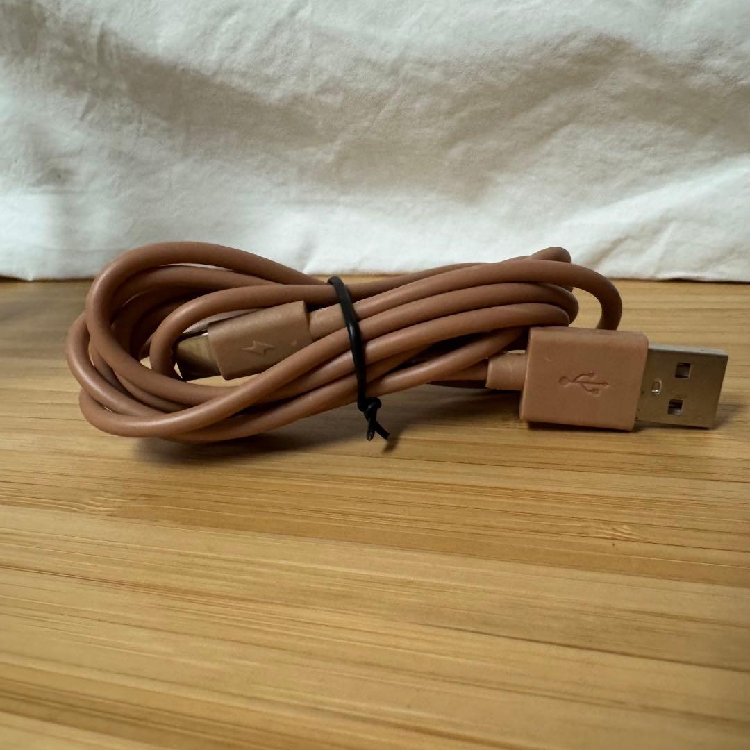 マダツボミ LED ライト ポケモンセンター コンシェルジュ