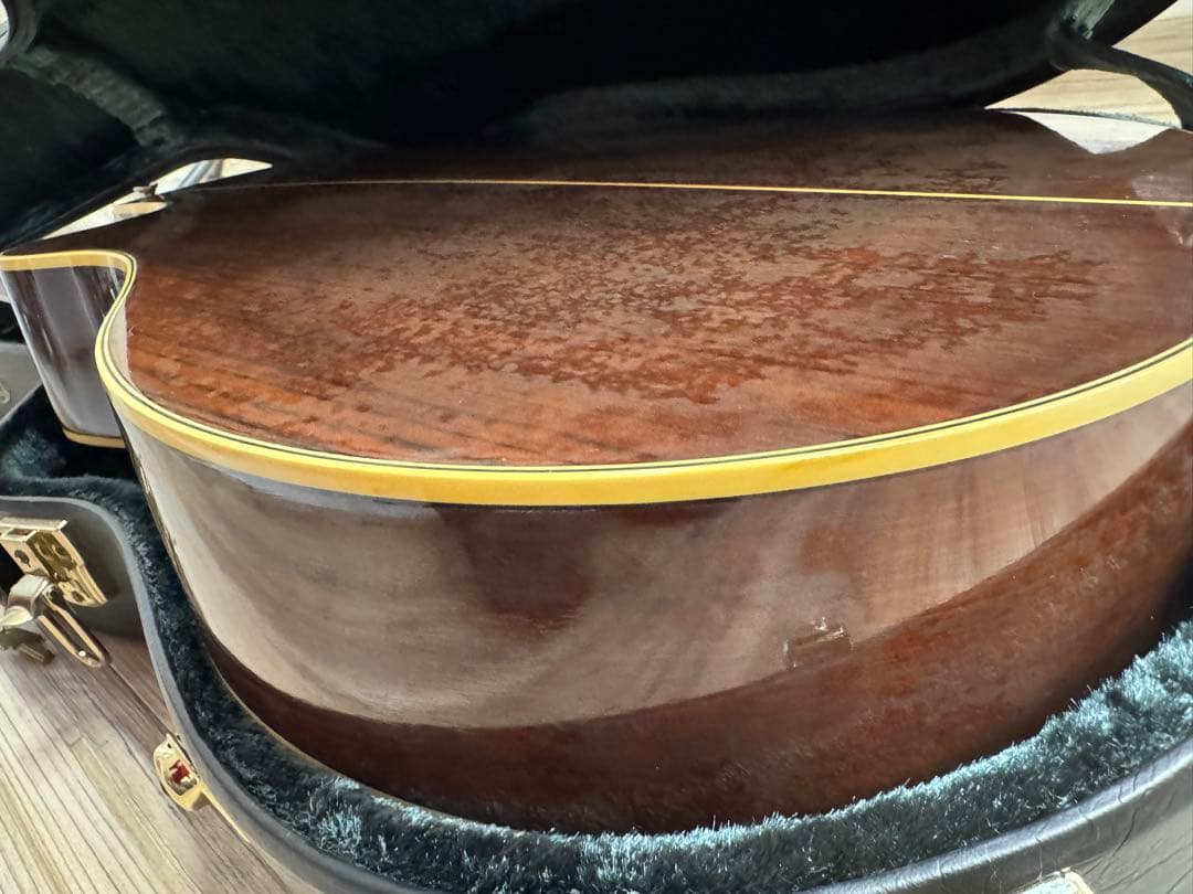 【激レア】ヤマハ90年代ビンテージ12弦エレアコ APX-8-12A+ケース