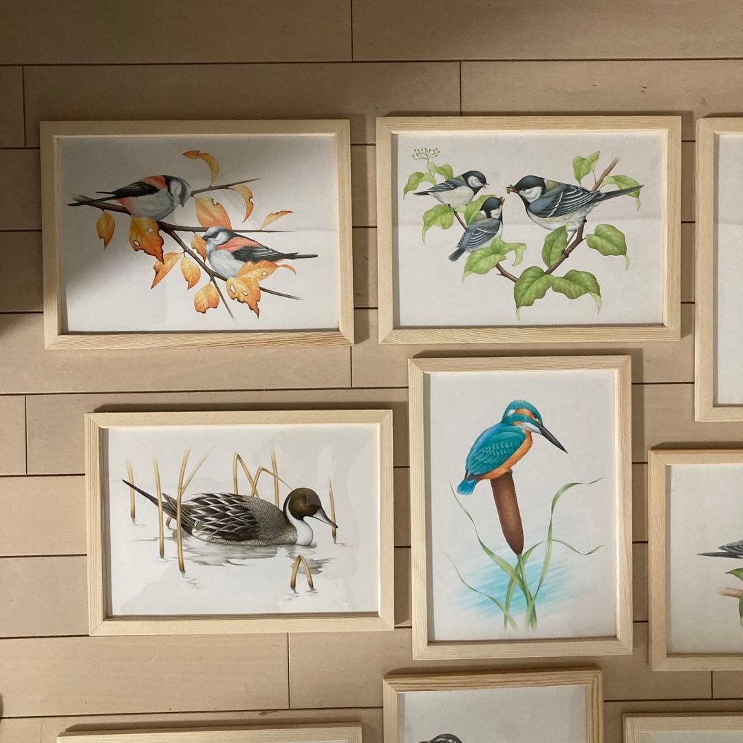 希少 野鳥 絵画 イラスト 原画 セット ウッド フレーム 新品 額装