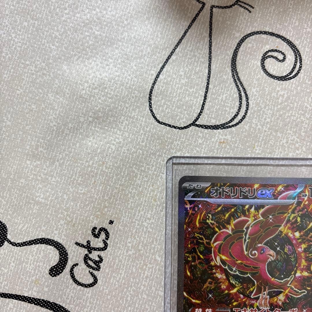 オドリドリEX ポケモンカード SAR