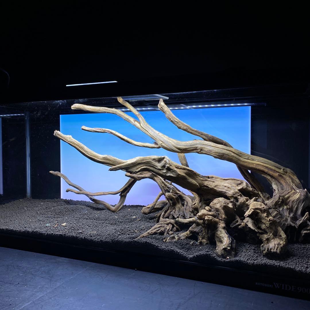 MSRW-6372 天然流木レイアウトセット　スリムウッド　アクアリウム