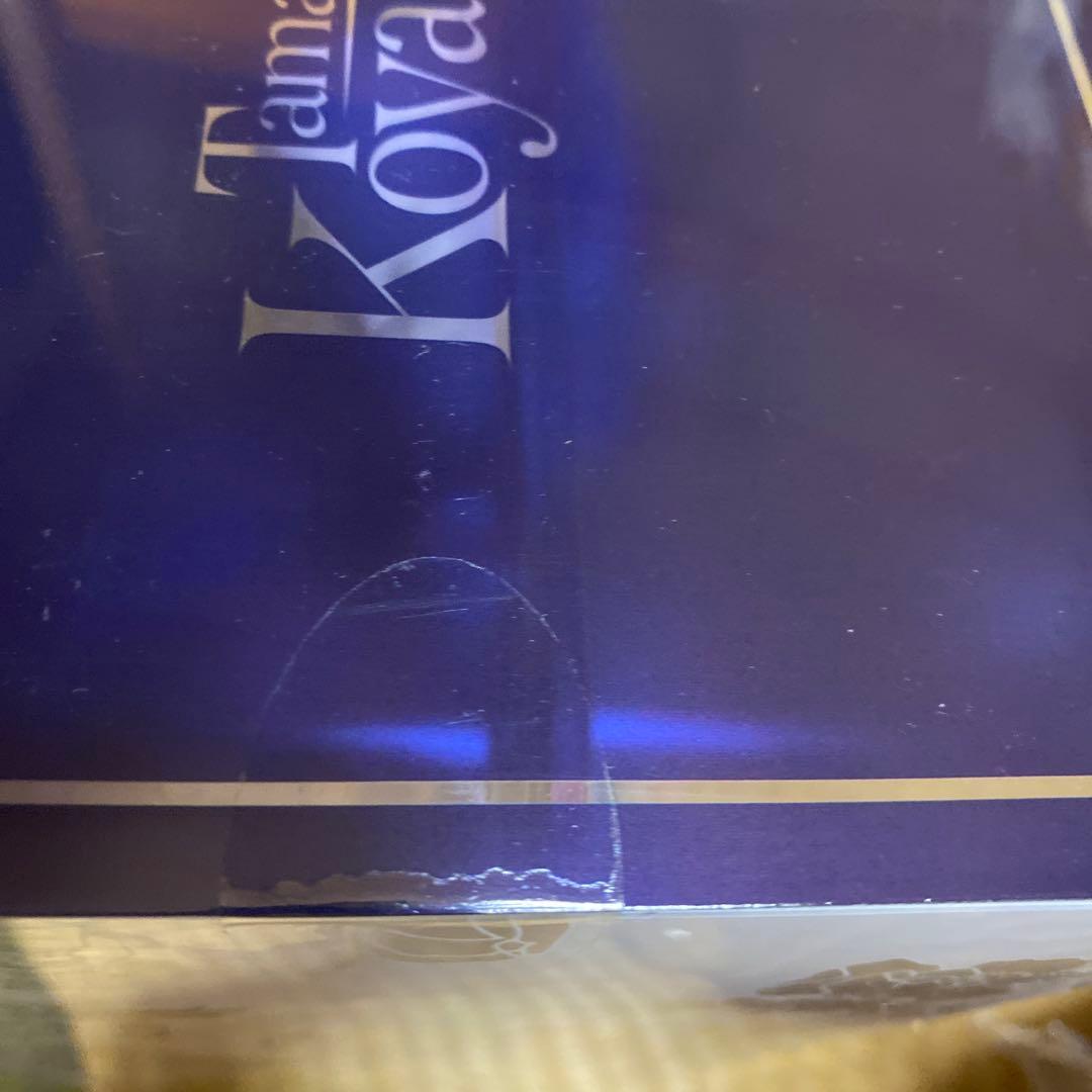 未開封 FLARE フレア タマモヴィッチ・コヤンスカヤ チャイナドレスVer.