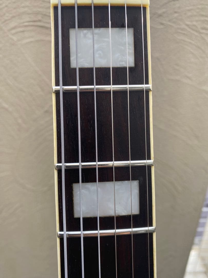 AXL/AL-820-BR (アクセル レスポールタイプ)