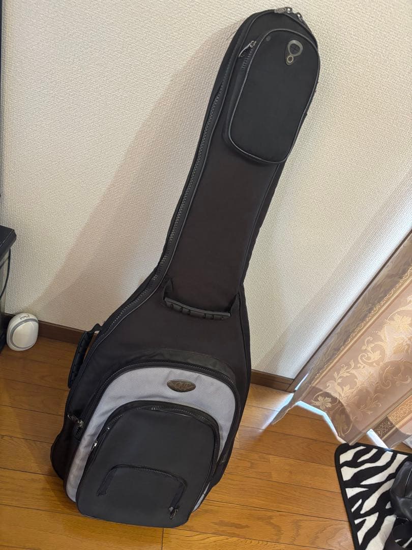 marko734 Aria ProⅡ TS600 完動品