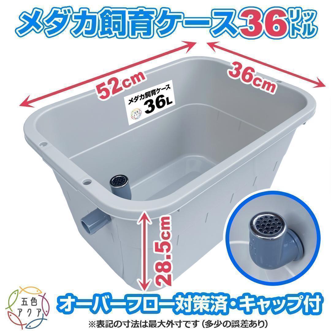 メダカ飼育ケース 36㍑x5個（4色あり） オーバーフロー付 金魚飼育容器 越冬