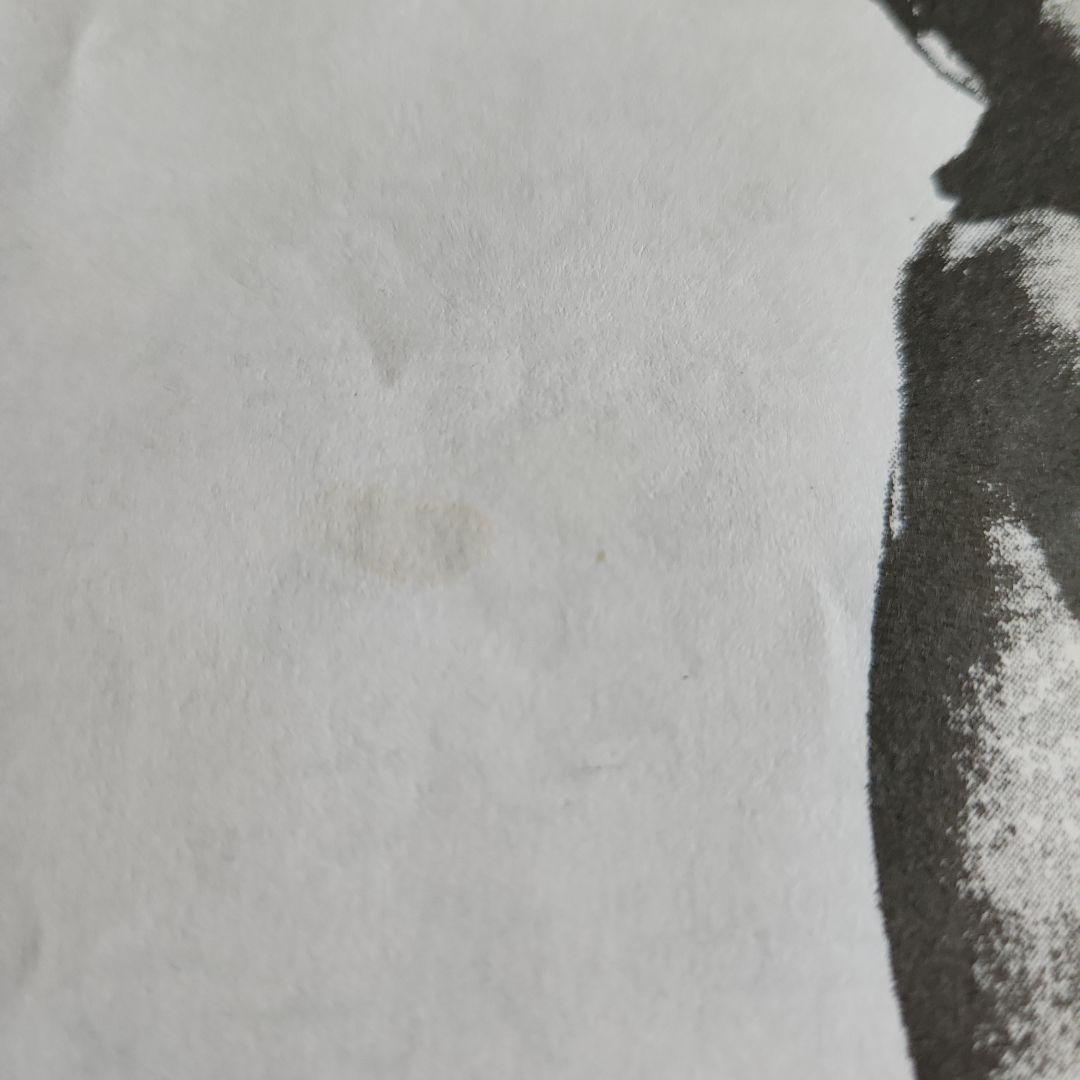 ミッシェルガンエレファント 「ロッキンブルース」vol.19～54