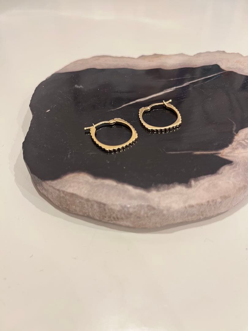 【ALIITA】ARO ピアス