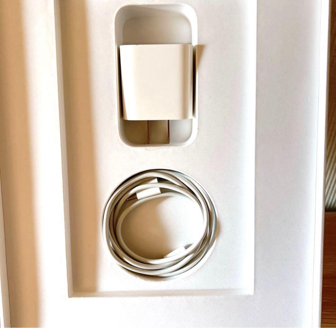 Apple iPad Pro 第2世代 11インチ WiFiモデル