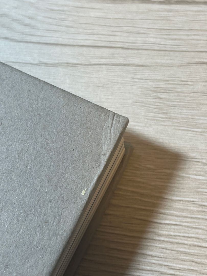 SHINee ジョンヒョン 小説 山荷葉 산하엽