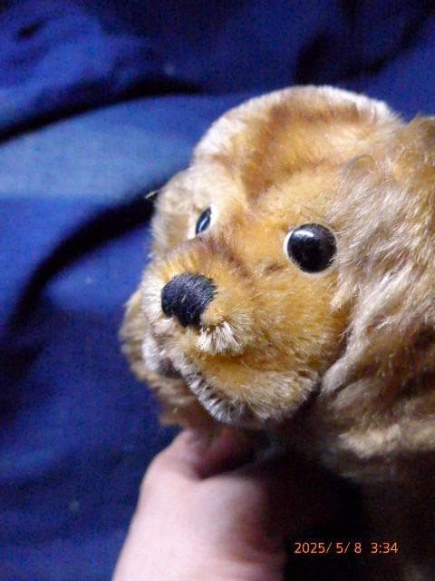 シュタイフのとても貴重な50年代から60年代の犬のぬいぐるみです