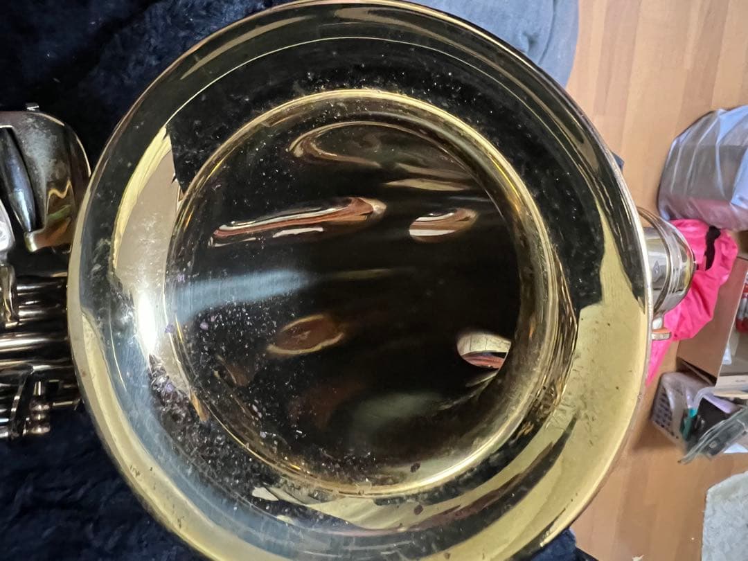 Max Toneアルトケースネックストラップリガチャーリード付Rapsag