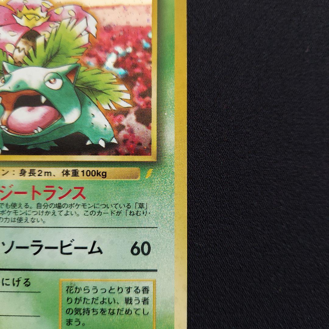 フシギバナ　旧裏　プロモーションカード　GB　イントロパック　3枚セット