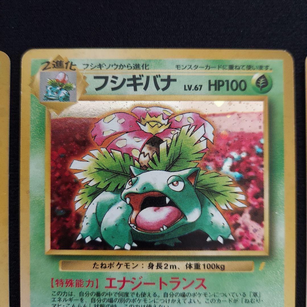 フシギバナ　旧裏　プロモーションカード　GB　イントロパック　3枚セット