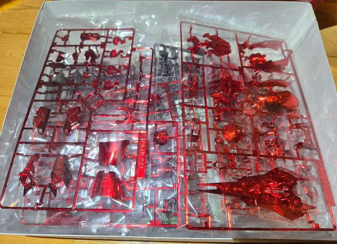 【定価】RG サザビー [メカニカルコアメッキ]