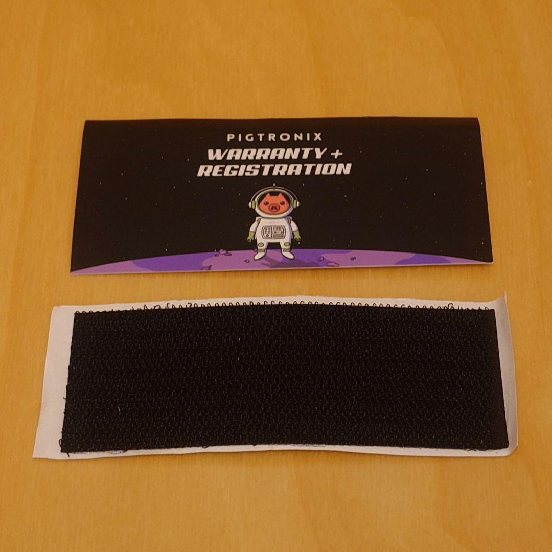 pigtorinix Moon Pool トレモロ フェイザー ピグトロニクス