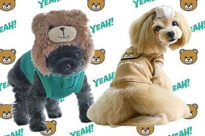 新品 BEAR HOODIE＆SWING PLEATS PTサーカスサーカス