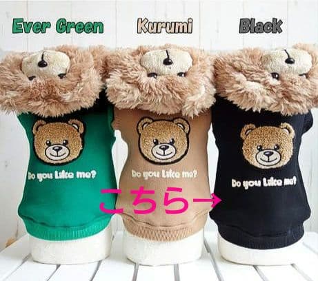 新品 BEAR HOODIE＆SWING PLEATS PTサーカスサーカス