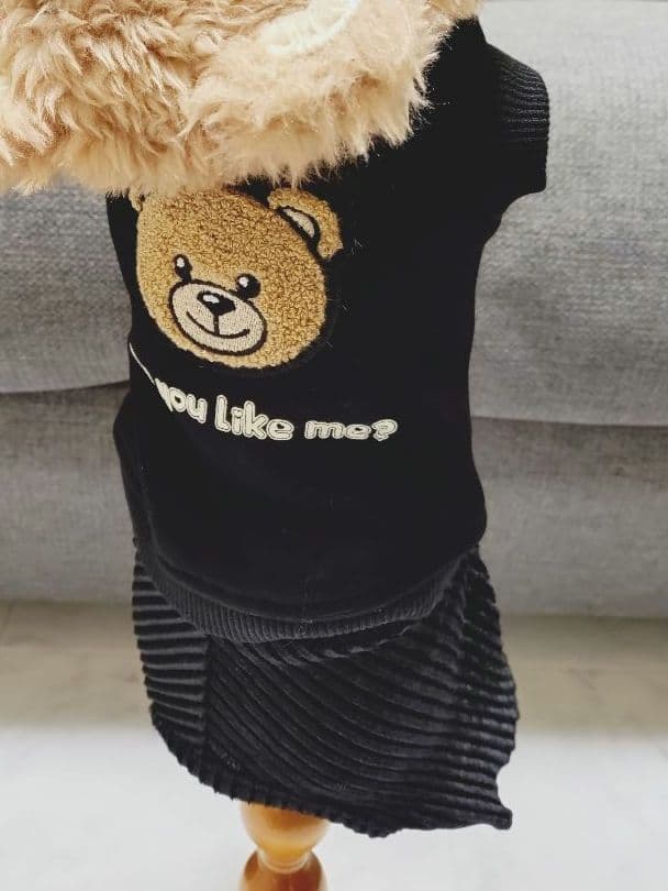 新品 BEAR HOODIE＆SWING PLEATS PTサーカスサーカス