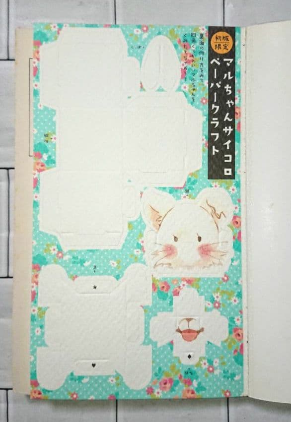 【かえるっち】「君に届け」1~30(特装版)巻 + 関連本３冊