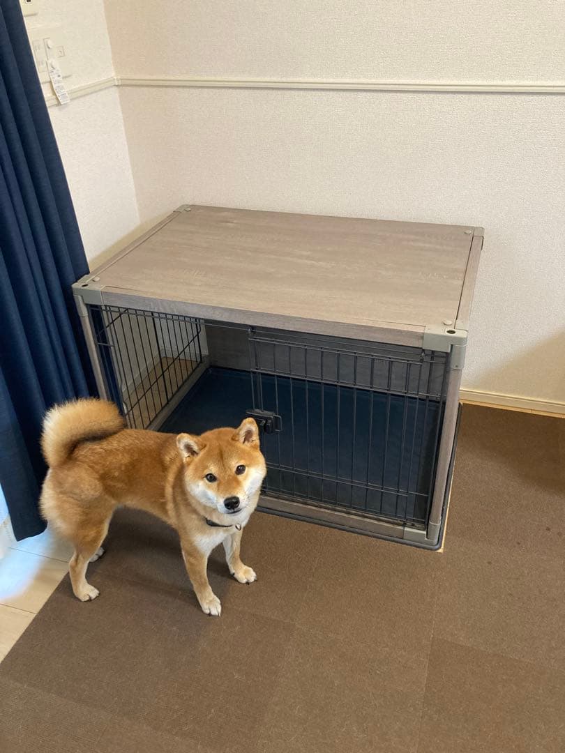 犬用ケージ