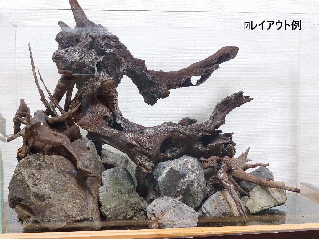 水槽用流木セット