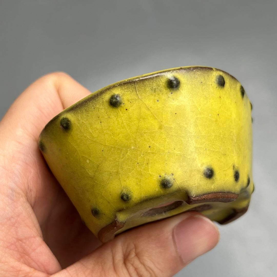 753.暁雲 黄釉鼓釘楕円 盆栽鉢 植木鉢 8*6.7*3.6cm