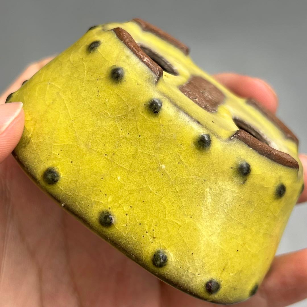 753.暁雲 黄釉鼓釘楕円 盆栽鉢 植木鉢 8*6.7*3.6cm