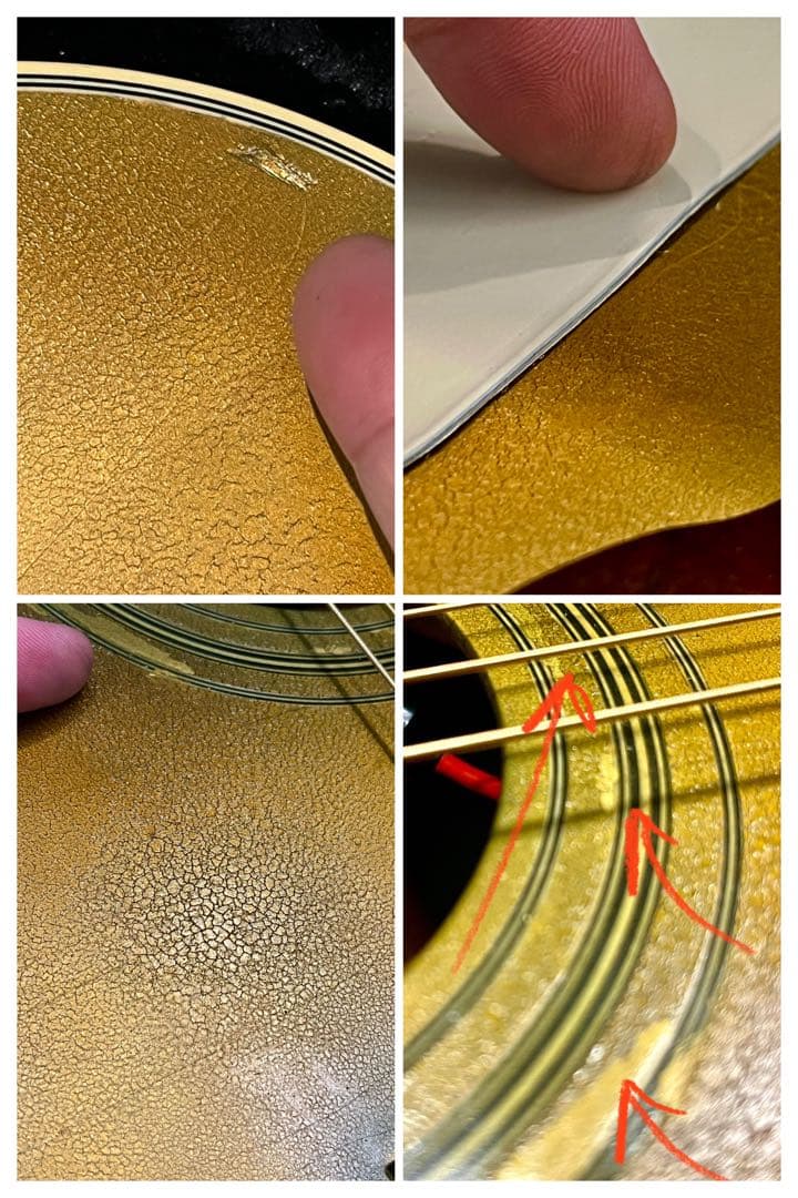 歩*鳥様 DeliciousTaylormade MOD エピフォンモディファイ