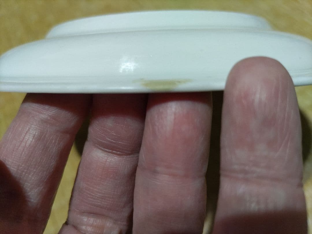 柿右衛門白磁　皿（17.6㎝）陰刻・銀杏　九谷白磁・古伊万里