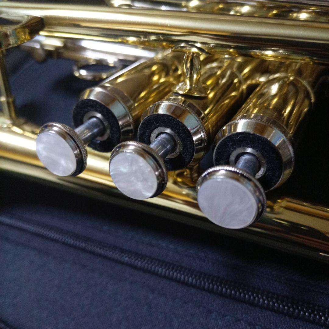 コルネット 本体 マウスピース ケース付き メーカー無し ブランド不明