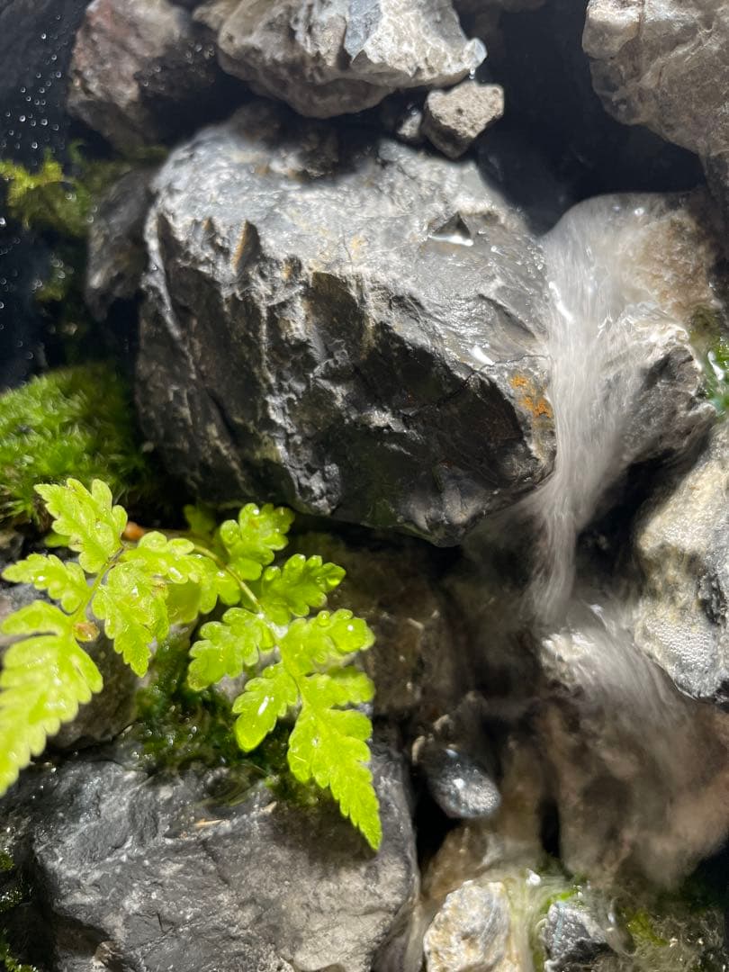 y*u様 【完成品】迫力のある大きな滝のアクアテラリウム